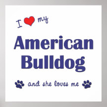 I Love My American Bulldog (Female Dog) Poster