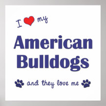 I Love My American Bulldogs (Multiple Dogs) Print