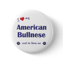 I Love My American Bullnese (Male Dog) buttons
