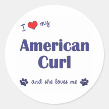 I Love My American Curl (Female Cat) Round Stickers