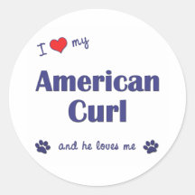 I Love My American Curl (Male Cat) Round Sticker