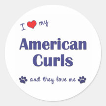 I Love My American Curls (Multiple Cats) Sticker