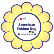 I Love My American Eskimo Dog Mix (Female Dog) Acrylic Cut Out