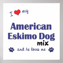 I Love My American Eskimo Dog Mix (He) Poster