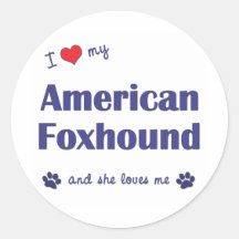 I Love My American Foxhound (Female Dog) Stickers