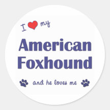 I Love My American Foxhound (Male Dog) Stickers