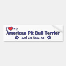 I Love My American Pit Bull Terrier (Female Dog) Bumper Stickers