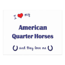 I Love My American Quarter Horses (Multiple Horses Post Cards
