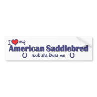 I Love My American Saddlebred (Female Horse) Bumper Sticker