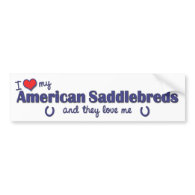 I Love My American Saddlebreds (Multiple Horses) Bumper Sticker