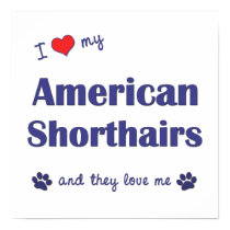 I Love My American Shorthairs (Multiple Cats) posters by customcatgifts I Love My American Shorthairs (Multiple Cats) posters