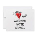 I Love My American Water Spaniel Invitation