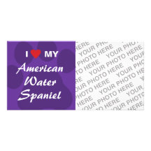 I Love My American Water Spaniel Customized Photo Card
