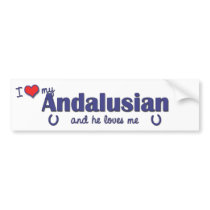 I Love My Andalusian (Male Horse) Bumper Stickers