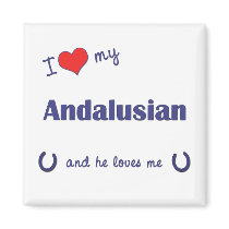 I Love My Andalusian (Male Horse) Refrigerator Magnet