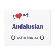 I Love My Andalusian (Male Horse) Post Card