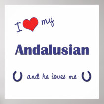 I Love My Andalusian (Male Horse) Poster