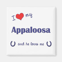 I Love My Appaloosa (Male Horse) Magnets