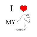 I love my arabian horse t-shirts