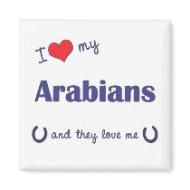 I Love My Arabians (Multiple Horses) Magnet