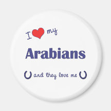 I Love My Arabians (Multiple Horses) Fridge Magnets