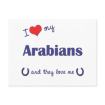 I Love My Arabians (Multiple Horses) Postcards