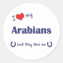 I Love My Arabians (Multiple Horses) Round Sticker