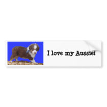 I love my Aussie! Bumper Sticker bumper stickers