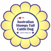 I Love My Aust. Stumpy Tail Cattle Dog (Male Dog) Acrylic Cut Out