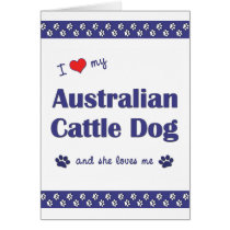 I Love My Australian Cattle Dog (Female Dog) cards