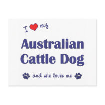 I Love My Australian Cattle Dog (Female Dog) postcards