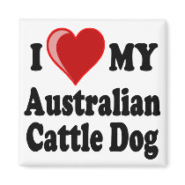 I Love My Australian Cattle Dog Magnet