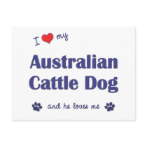 I Love My Australian Cattle Dog (Male Dog) postcards