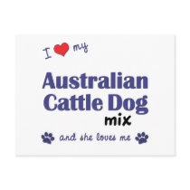 I Love My Australian Cattle Dog Mix (Female Dog) Postcard