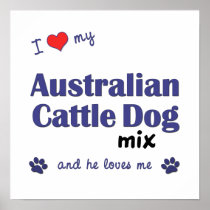 I Love My Australian Cattle Dog Mix (He) Poster