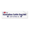 I Love My Australian Cattle Dog Mix (Male Dog) bumper stickers