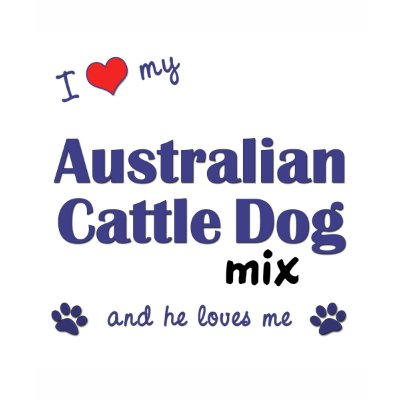 I Love My Australian Cattle Dog Mix (Male Dog) Tee Shirt by muttybuddy