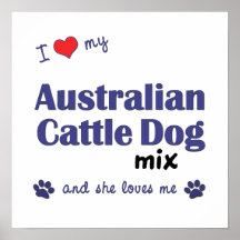 I Love My Australian Cattle Dog Mix (She) Poster