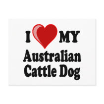 I Love My Australian Cattle Dog Post Card