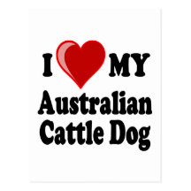 I Love My Australian Cattle Dog Postcard