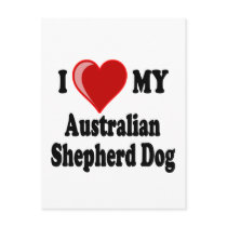 I Love My Australian Shepherd Dog Postcards