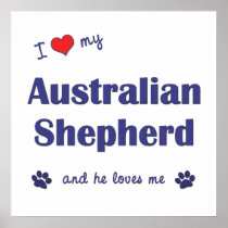 I Love My Australian Shepherd (Male Dog) Print