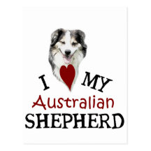 I love my Australian Shepherd Postcard
