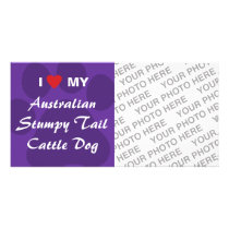 I Love My Australian Stumpy Tail Cattle Dog Picture Card