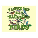 I Love My Backyard Birds Postcard