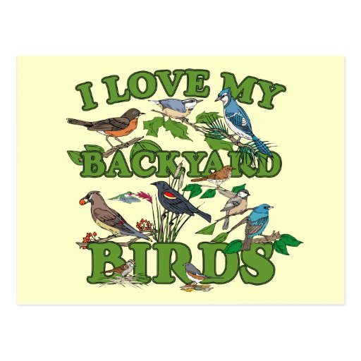 I Love My Backyard Birds Post Card