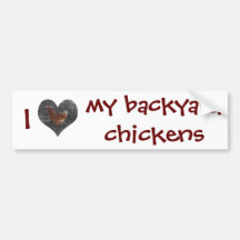 I Love My Backyard Chickens Bumper Sticker