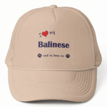 I Love My Balinese (Male Cat) Hat