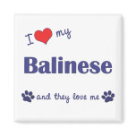 I Love My Balinese (Multiple Cats) Fridge Magnets
