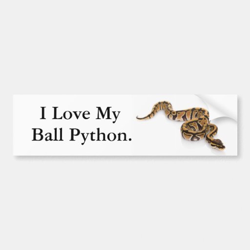 I Love my Ball Python. Bumper Sticker